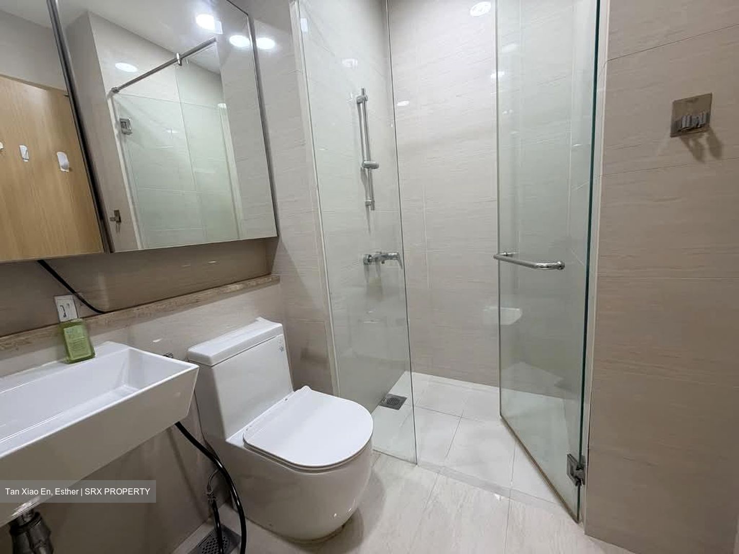 Boathouse Residences (D19), Condominium #527113461